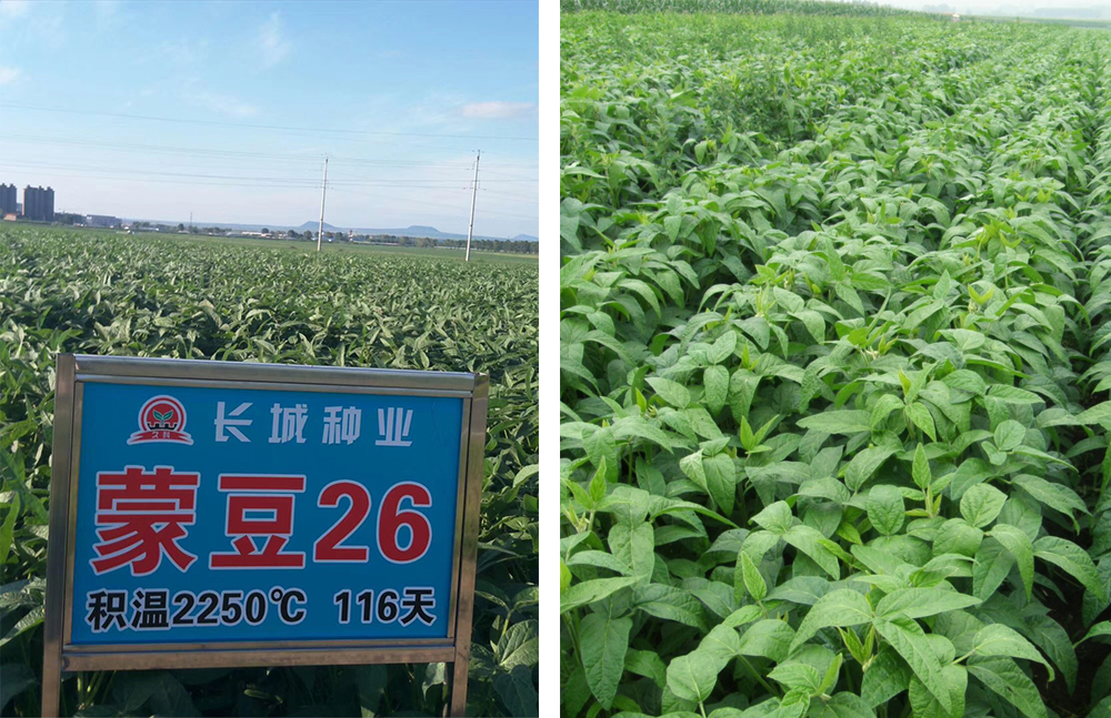 1553763601297499.jpg 22222.jpg